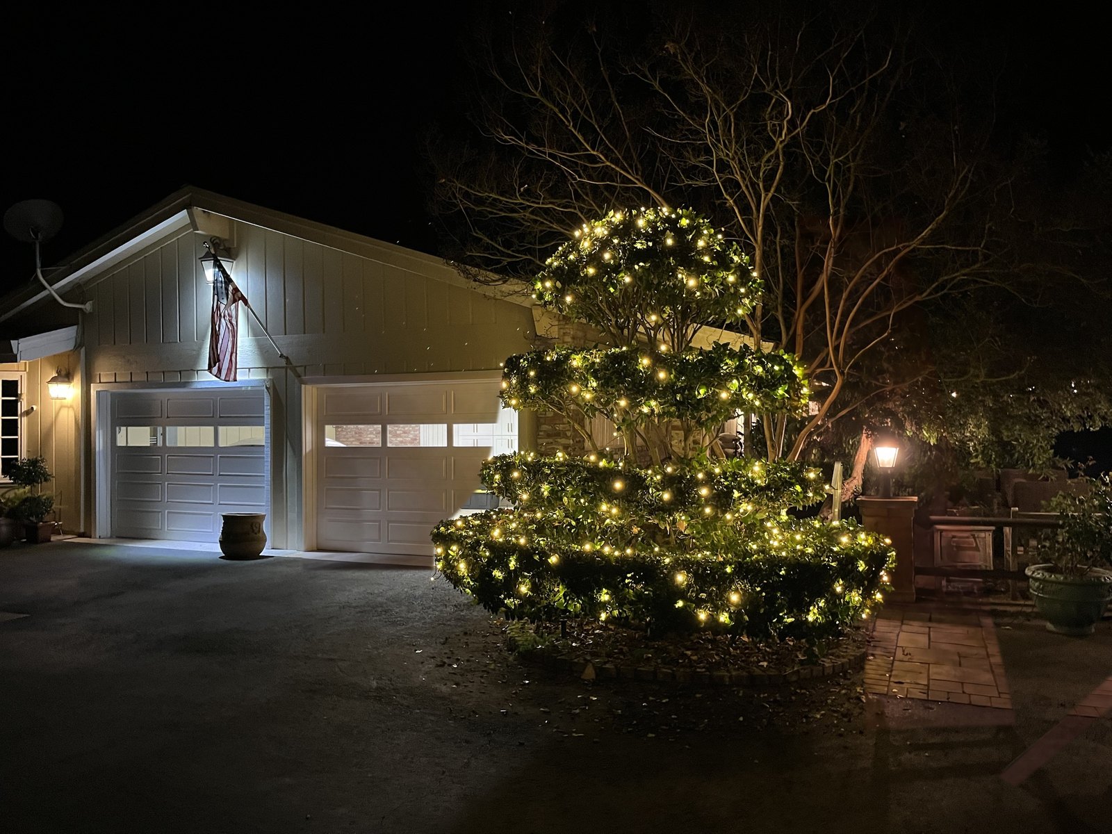 Tiered shrub wrapped in warm white lights beside a garage at night